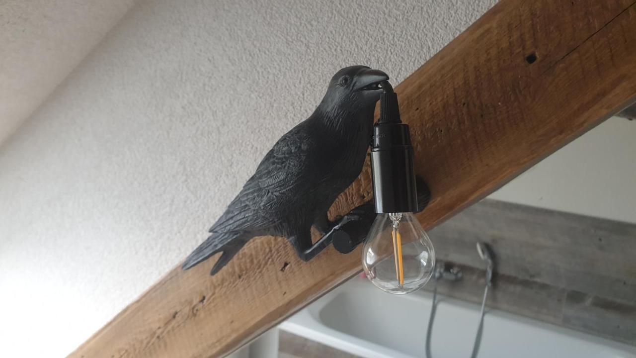 Seensucht & Urlaubstraeume, Ferienwohnung "Seeadler" Grossraeschen Exteriör bild